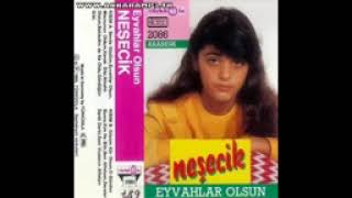 Sen affetsen ben affetmem neşecik