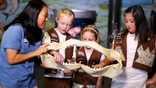 This is why zoos and aquariums are important | SeaWorld®