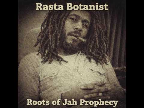 Roots Reggae (1975) [Lost Album]  Rasta Botanist - Roots of Jah Prophecy