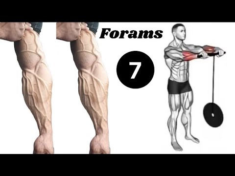 6 Best Exercises For Bigger Forearms - Forearms Workout - YouTube