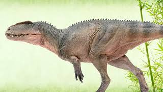 Sinraptor (Sound Effects)