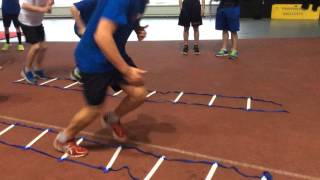 Vierumaki Off Ice Ladders Speed 3