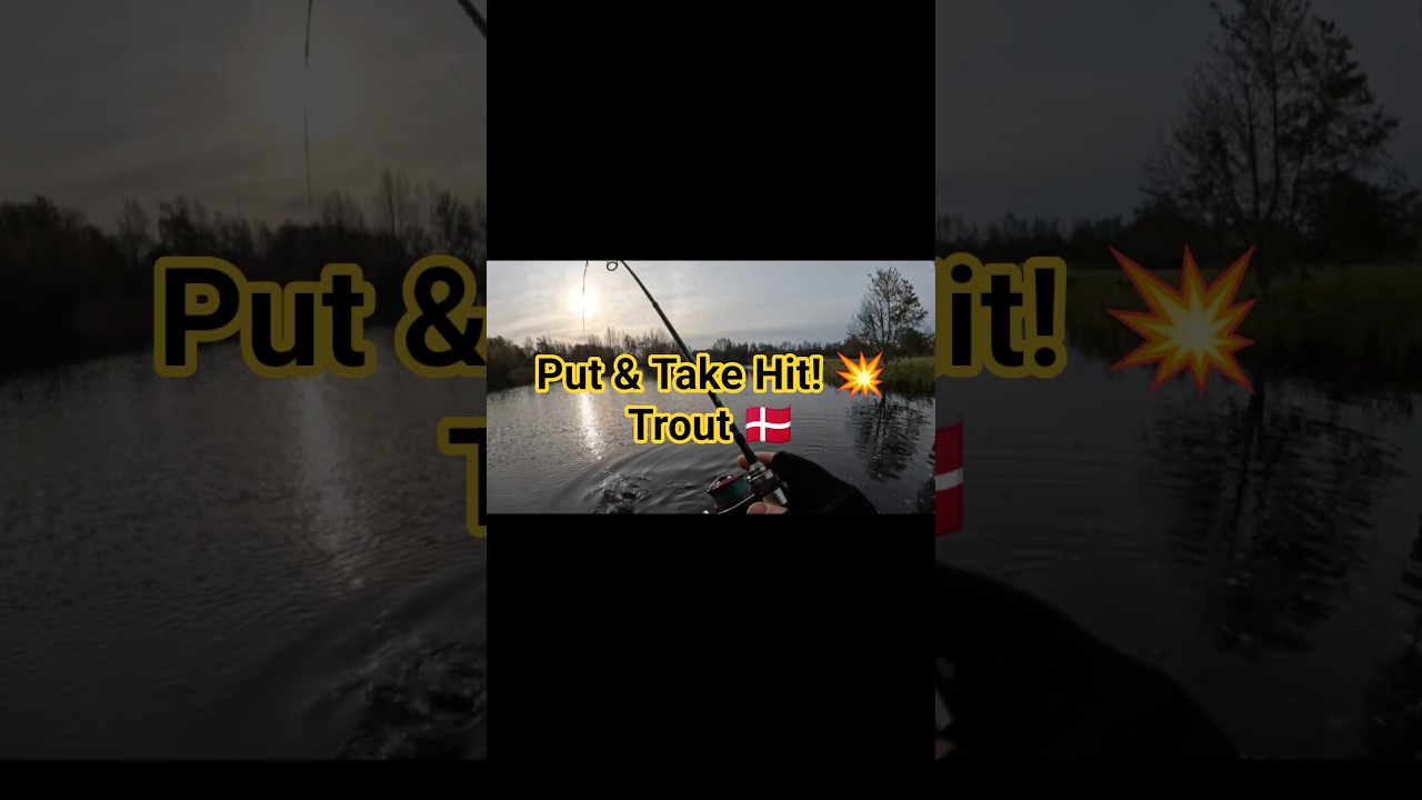 Epic Trout Catch 🎣🔥 | Mindas & Janiu | FiSko