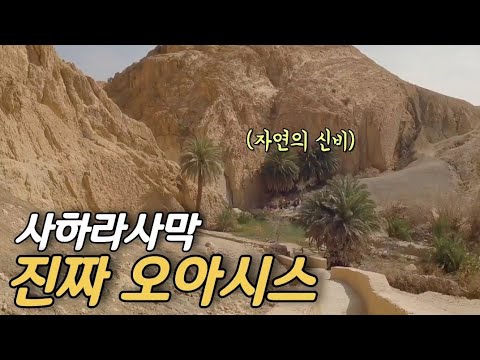 지구의 신비 대자연 속 오아시스  튀니지  (세계여행 ep.45)