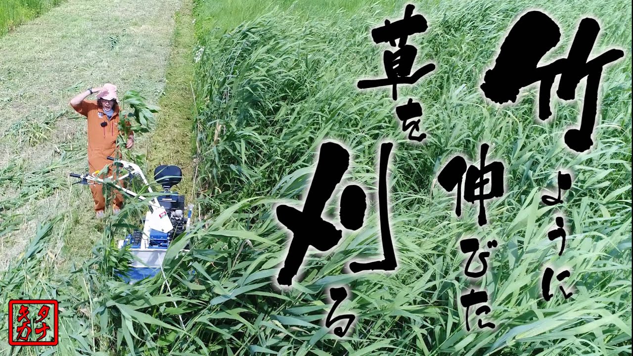 竹のように伸びた草を刈る】アテックス草刈り機 RX653・RX803 90秒CM