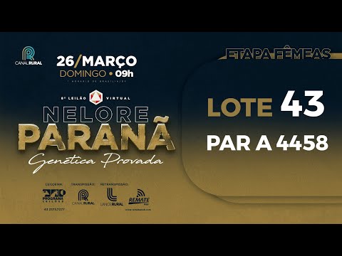 LOTE 43 PAR A4458