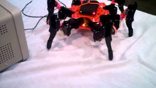 Hexapod Mark 2