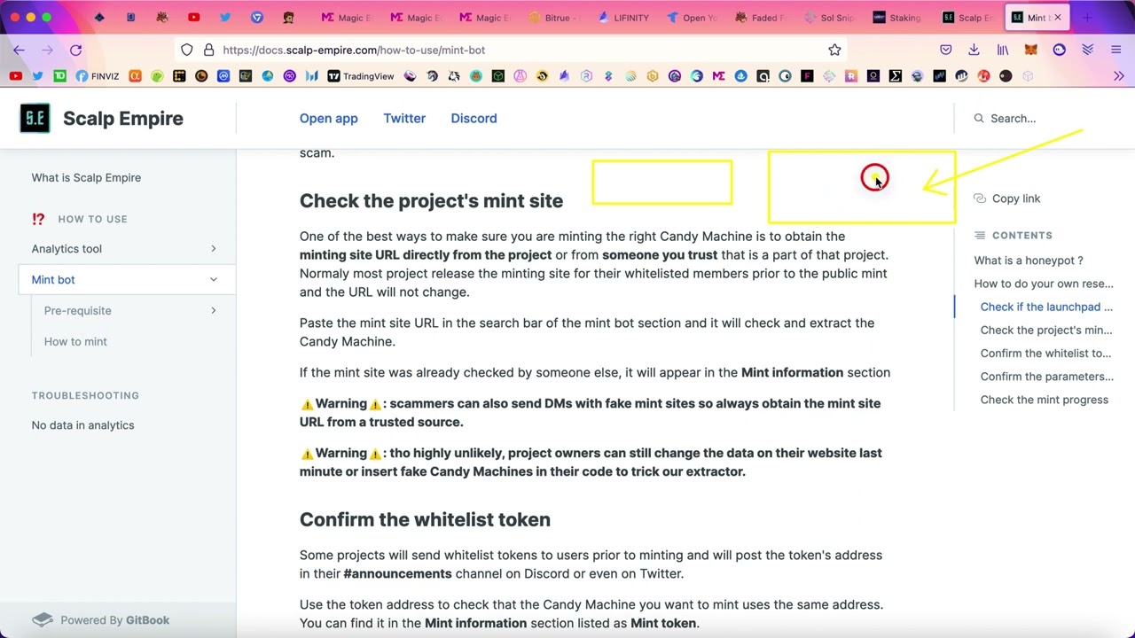 Best Solana Minting Bot's