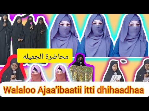 Maashaa Allah Walaloo Ajaa Ibaatii