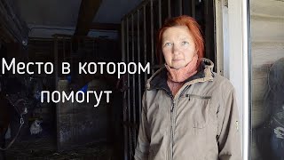 СПАСАЕТ лошадей, которые никому не нужны. О ЛЮДЯХ. Человек с добрым сердцем. Деревня Якубянцы.