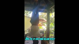 21 day raw vegan reset