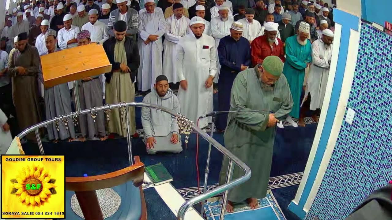 Live Stream