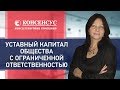 Уставный капитал общества с ограниченной ответственностью. Консалтинговая компания "Консенсус". 18+