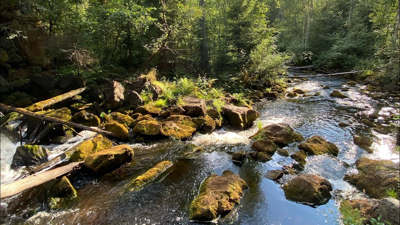 Питер и Карелия - YouTube