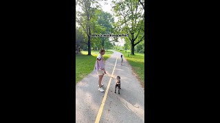 Don’t just walk—fly 🚀🐕
