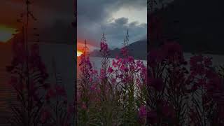 WOW😍😍❤ #shortvideo #youtubeshorts #beautifulworld