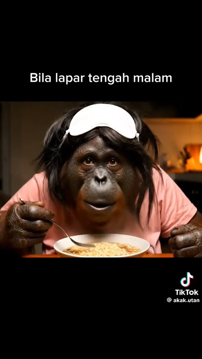 credit @akakhutan #comedy #viralvideo #aivideo #animals #lawak #orangutan #ai #wildanimals
