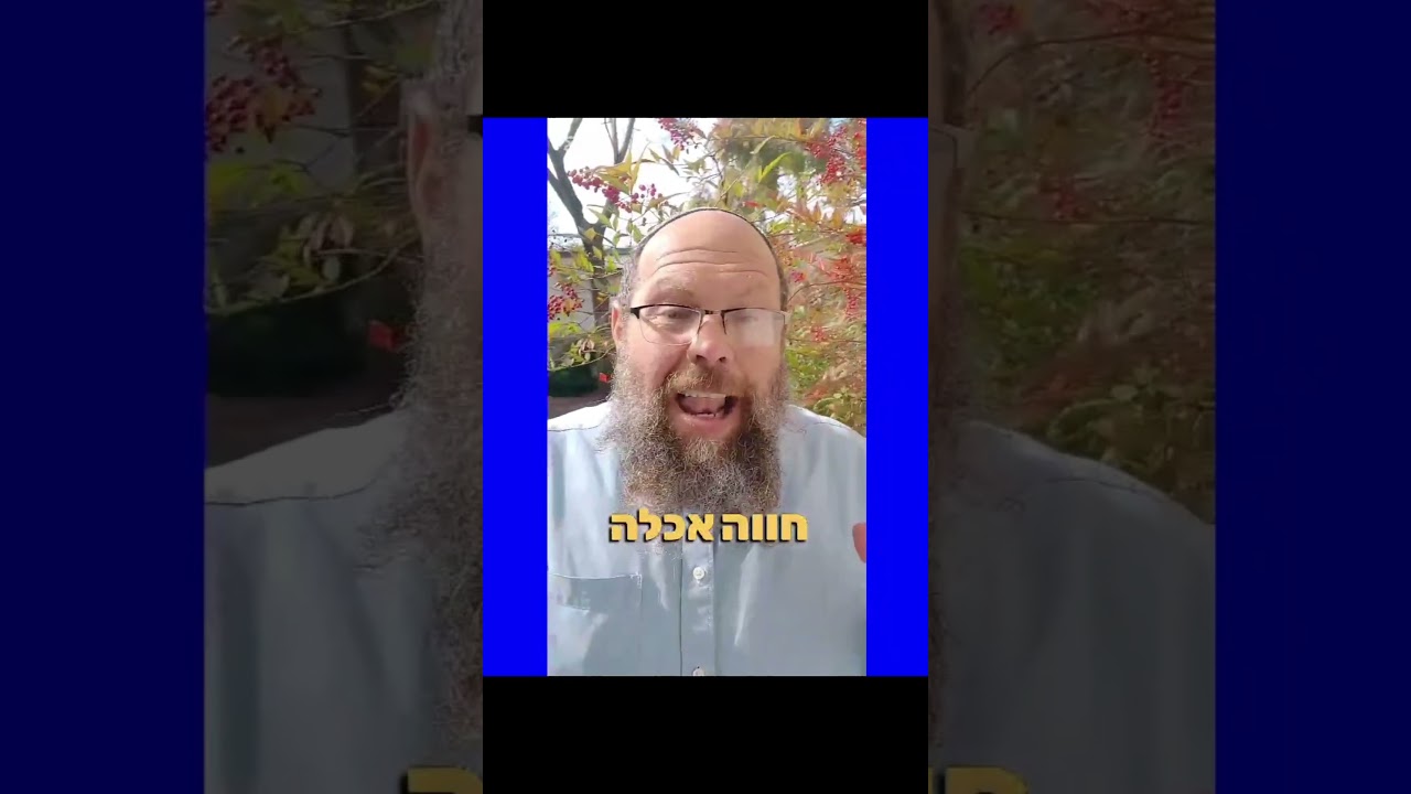 YouTube player