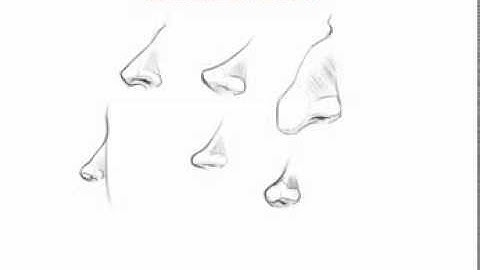 5 Drawing the nose