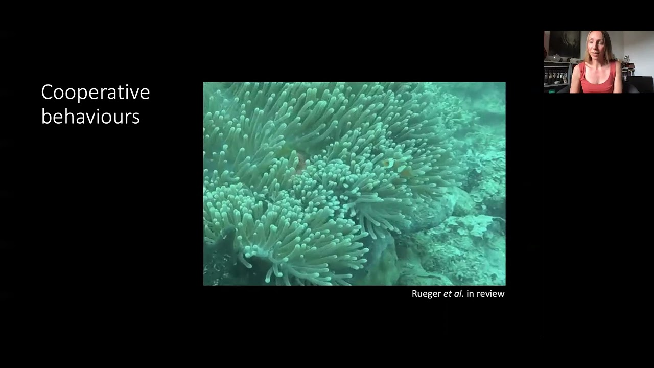 Social rank and species-specific differences influence cooperation and conflict... [Rueger, Theresa]