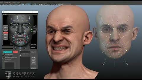 Snappers Facial Rig v3