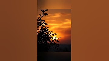 آيات بينات من الذكر الحكيم بصوت جميل جدا الشيخ ماهر المعيقلي حالات واتس اب دينية قصيرة مؤثرة قرآن
