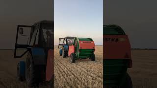 Прессование рулонов сена #belarus #агротехника #мтз82 #farming #сено #126 #ставрополь #жатва #россия