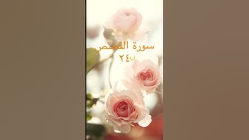 سورة القصص ايه ٢٤