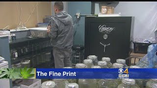 An In Depth Look At The Recreation Marijuana Law