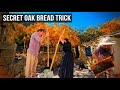 Why This Forgotten Bread Survived 1,000 Years