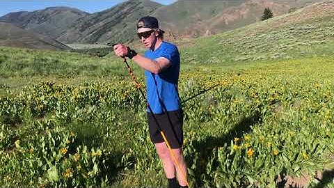 Ski Walking and Bounding