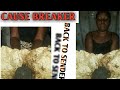 Cause BREAKER:The POWER of African BLACK SOAP