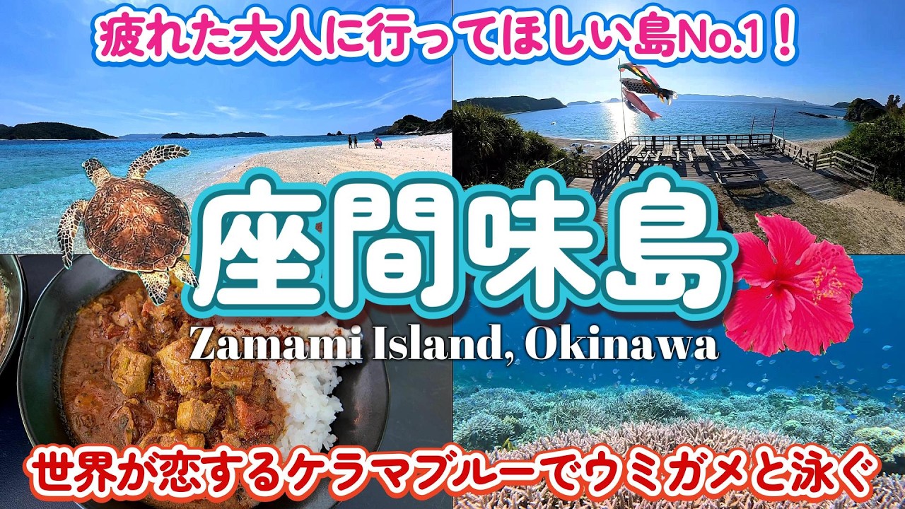座間味島②】ケラマブルーの楽園でウミガメと泳ぐシュノーケリング