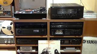 Taste - Eat My Words