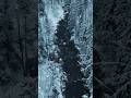 Pippin's Song: Edge of Night #shorts #lotr #celtic