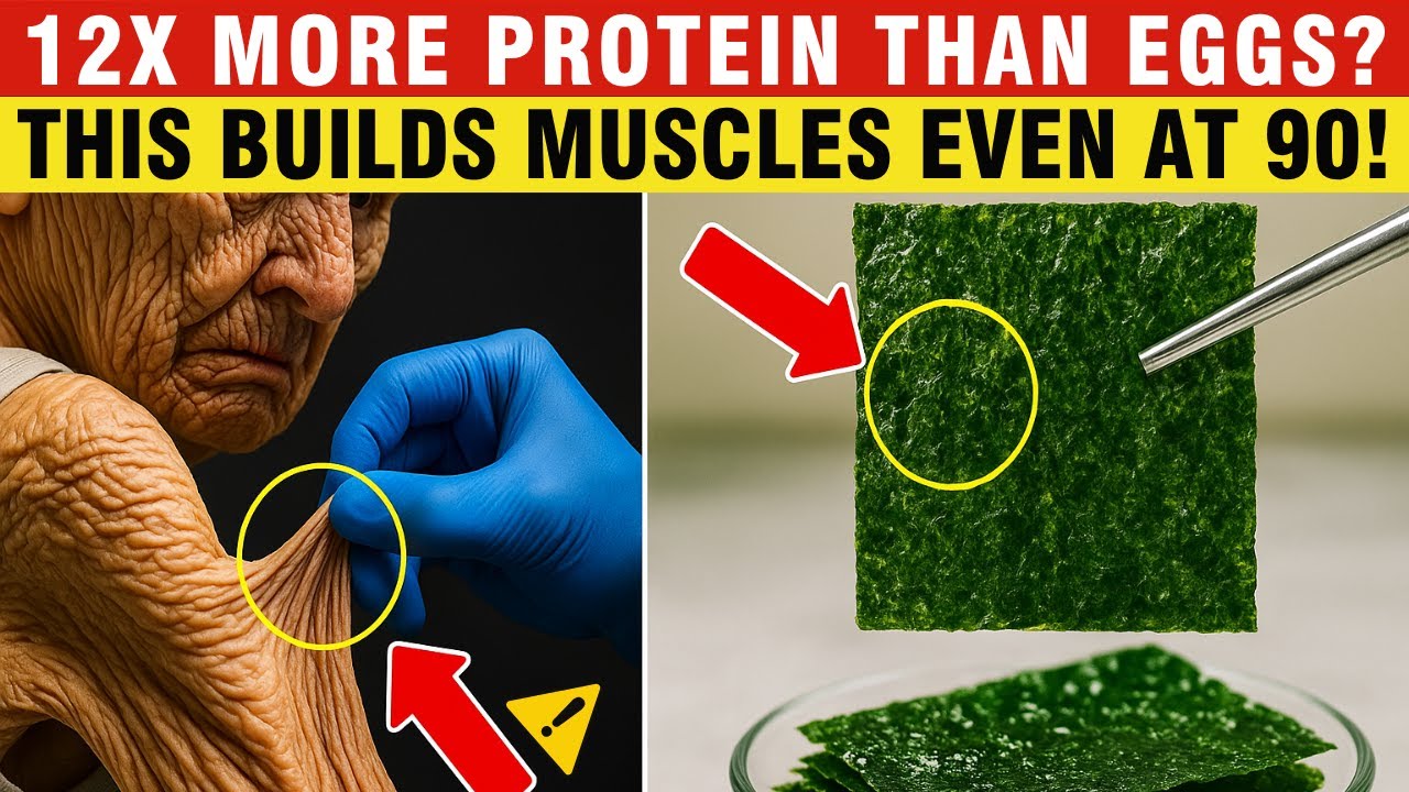 Forget Eggs! These 9 Cheap Foods Build Muscle Faster — Even at Age 80 | Senior Health