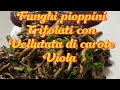 Funghi pioppini trifolati con vellutata di carote viola