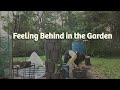 Feeling Behind in the Garden? Garden Comparison Is Real