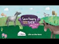 Life on the farm (Pre-recorded) | Sanctuary From Your Sofa: Marvellous Mules