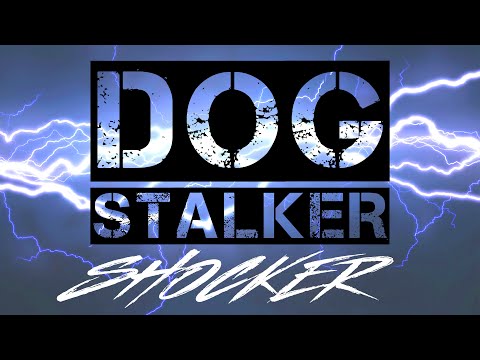 DOG-STALKER_5 SHOKER ☆
