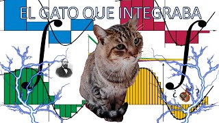 el gato que integraba(funciones racionales muy difíciles)