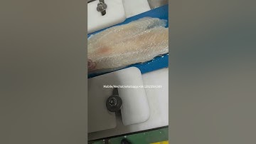 Fish slicer machine/automatic fish slicing machine