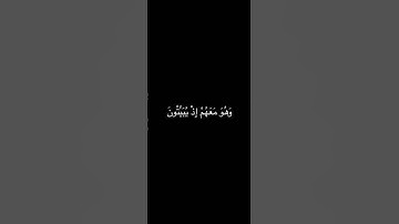 من سورة النساء بصوت الشيخ ياسر الدوسري❤️