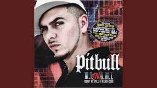 Watch Pitbull Might Be The Police video