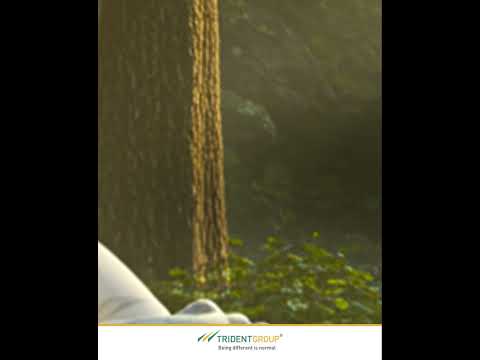 Mahavir Jayanti | Trident Group