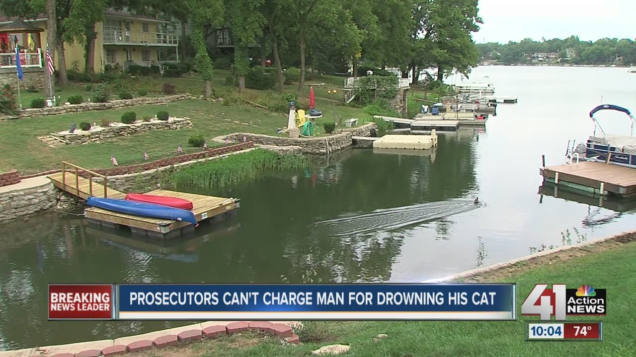 Man drowns cat in Lake Waukomis YouTube