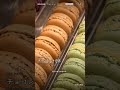 ベルギー🇧🇪、ブルージュは運河と石畳で中世の時間が残る街 #Shorts