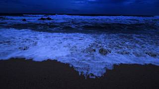 Ocean Sounds For Sleeping | Deep Night Waves Creating Calm Sleep and Releasing Mental Tension