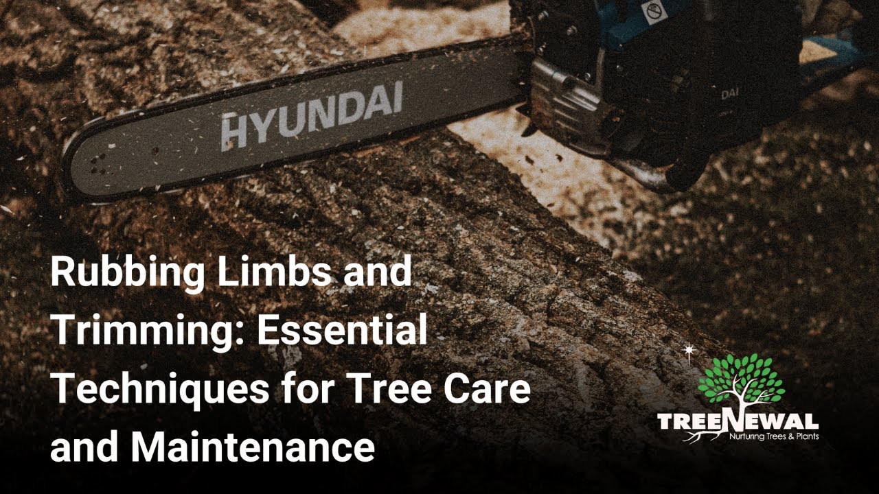 Rubbing Limbs and Trimming:  Essential Techniques for Tree Care and Maintenance