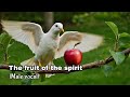 The fruit of the spirit (Male vocal)